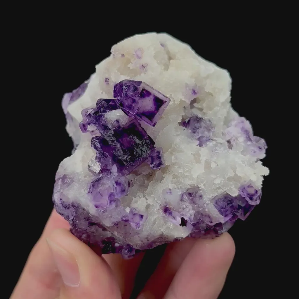 specimen video