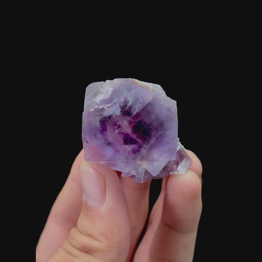 specimen video