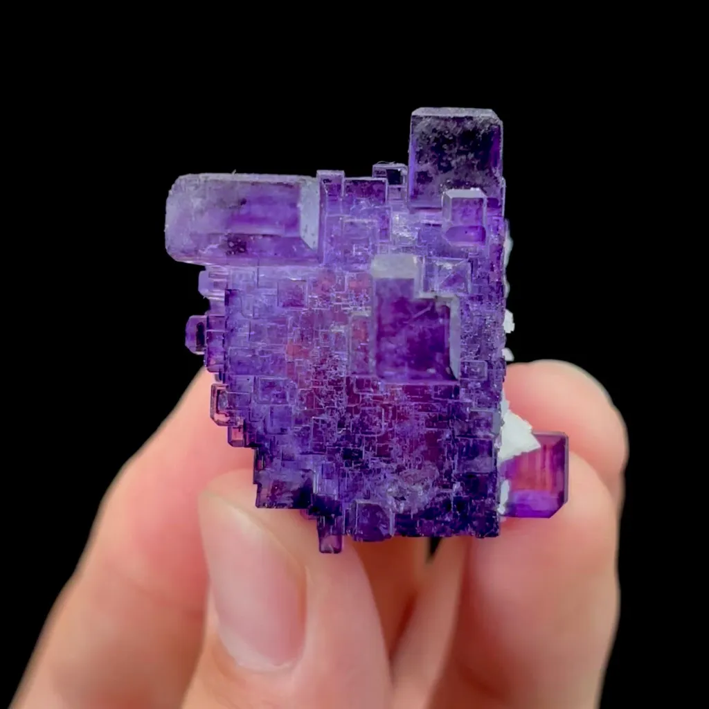 specimen video