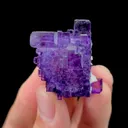 specimen video