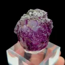specimen video