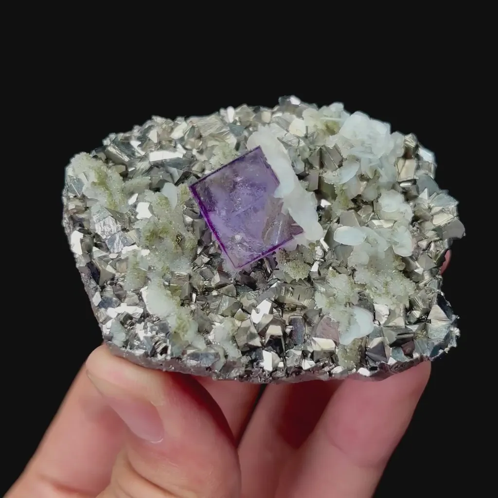 specimen video