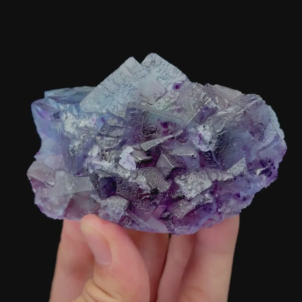 specimen video