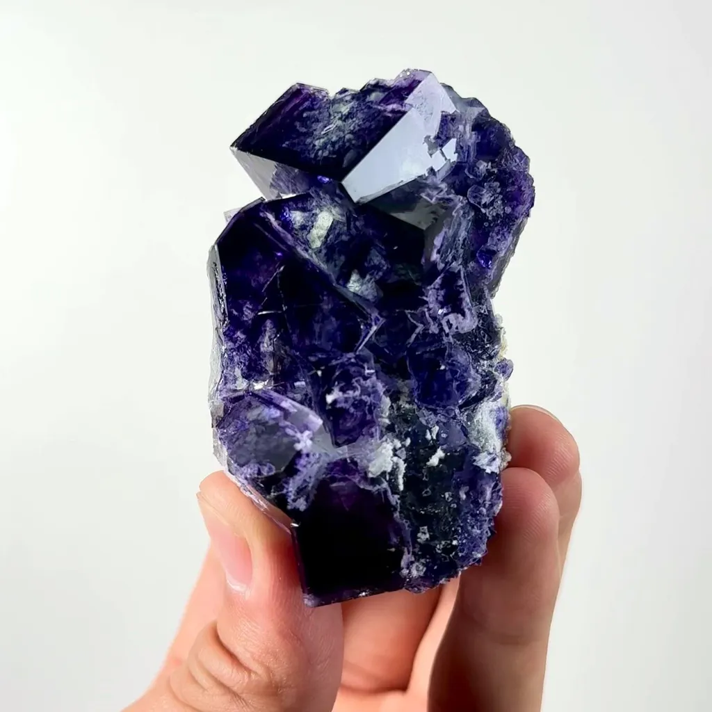specimen video