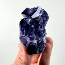 specimen video
