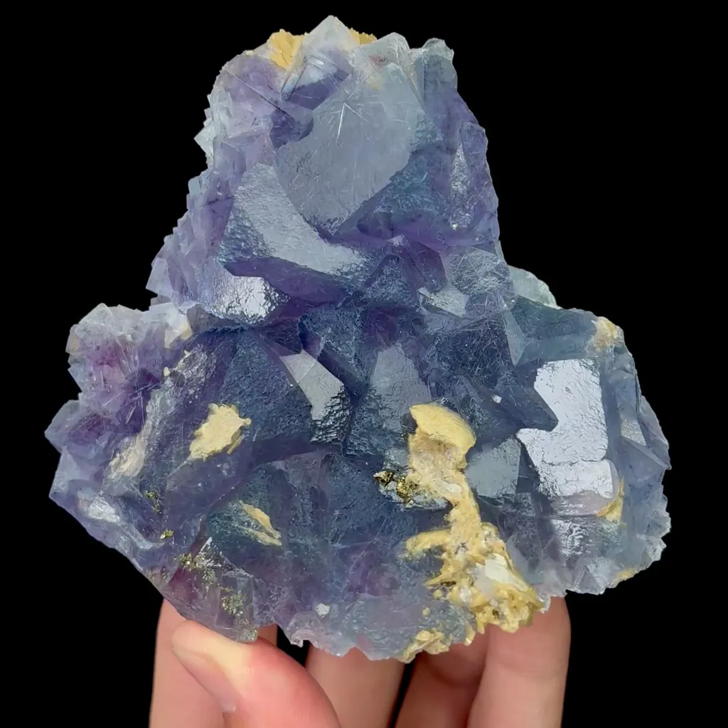specimen video