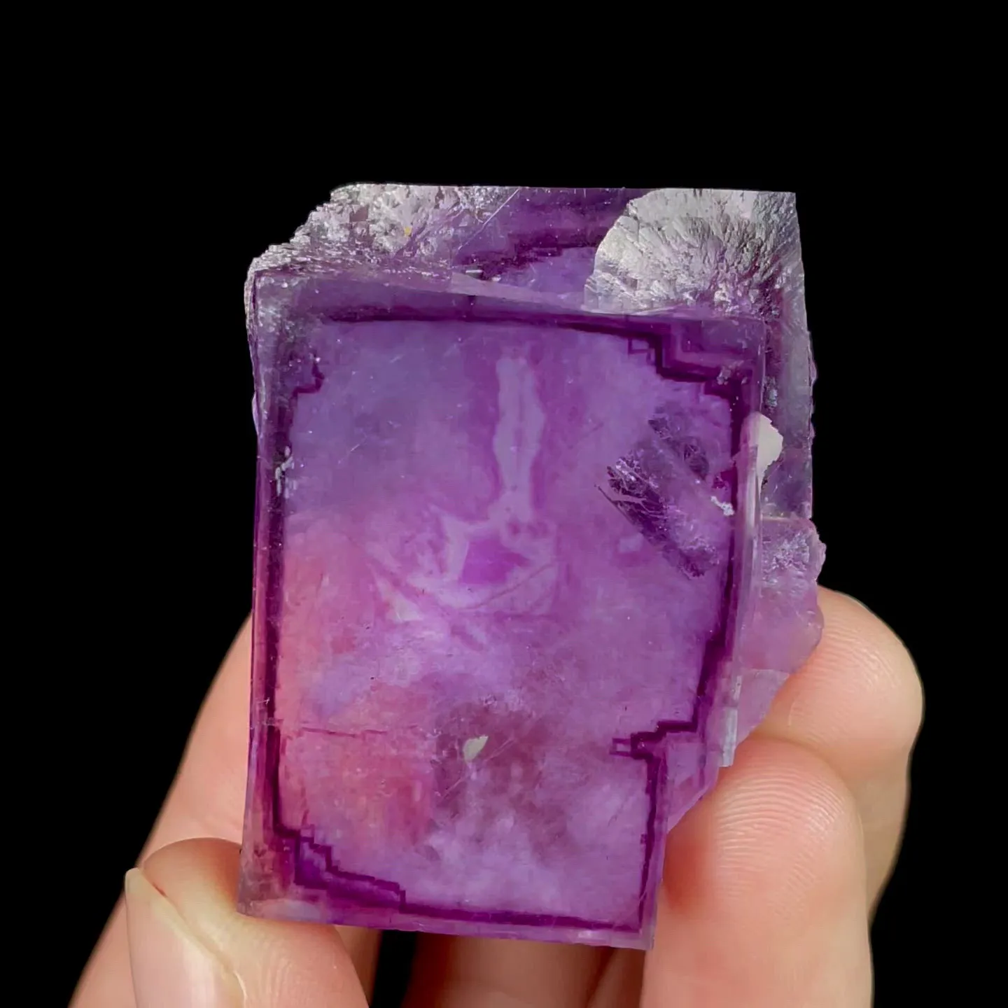 specimen video