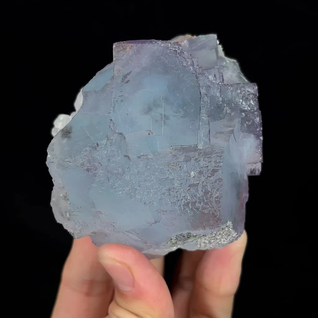 specimen video
