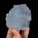 specimen video