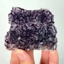 specimen video