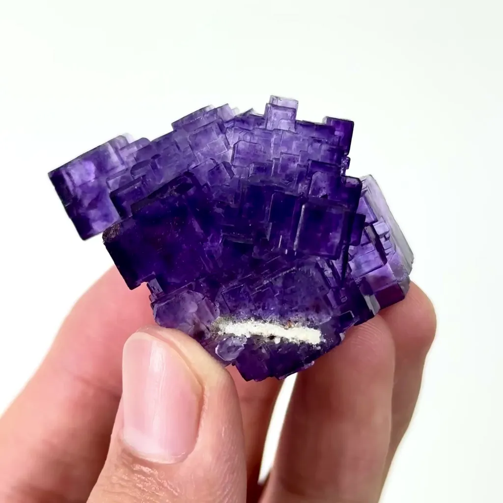 specimen video