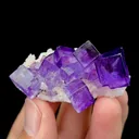 Natural Purple Fluorite on Matrix Mineral Specimen,High Quality Specimen,XINJIANG,CHINA(48*35*20mm) - image 1