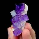 Natural Purple Fluorite on Matrix Mineral Specimen,High Quality Specimen,XINJIANG,CHINA(48*35*20mm) - image 3