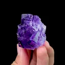 Natural Purple Fluorite on Matrix Mineral Specimen,High Quality Specimen,XINJIANG,CHINA(60*45*24mm) - image 2