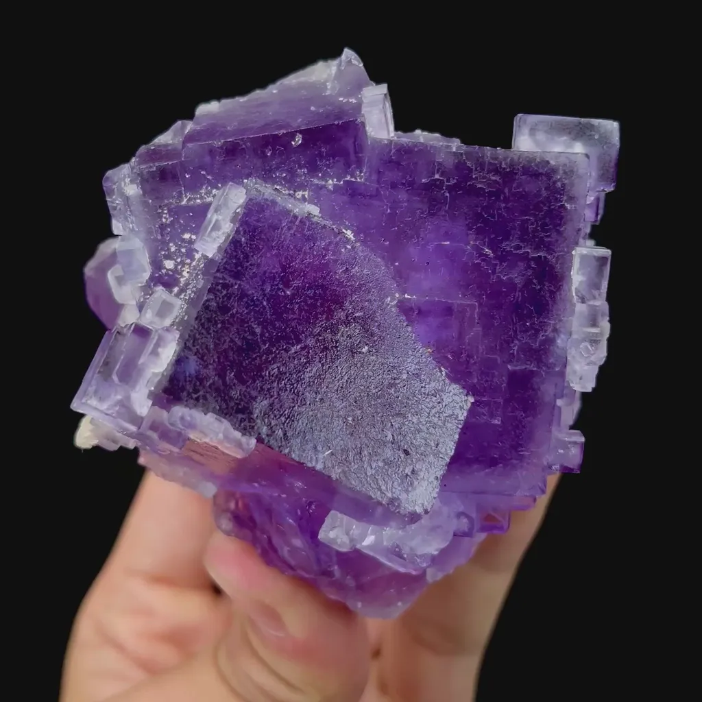 specimen video