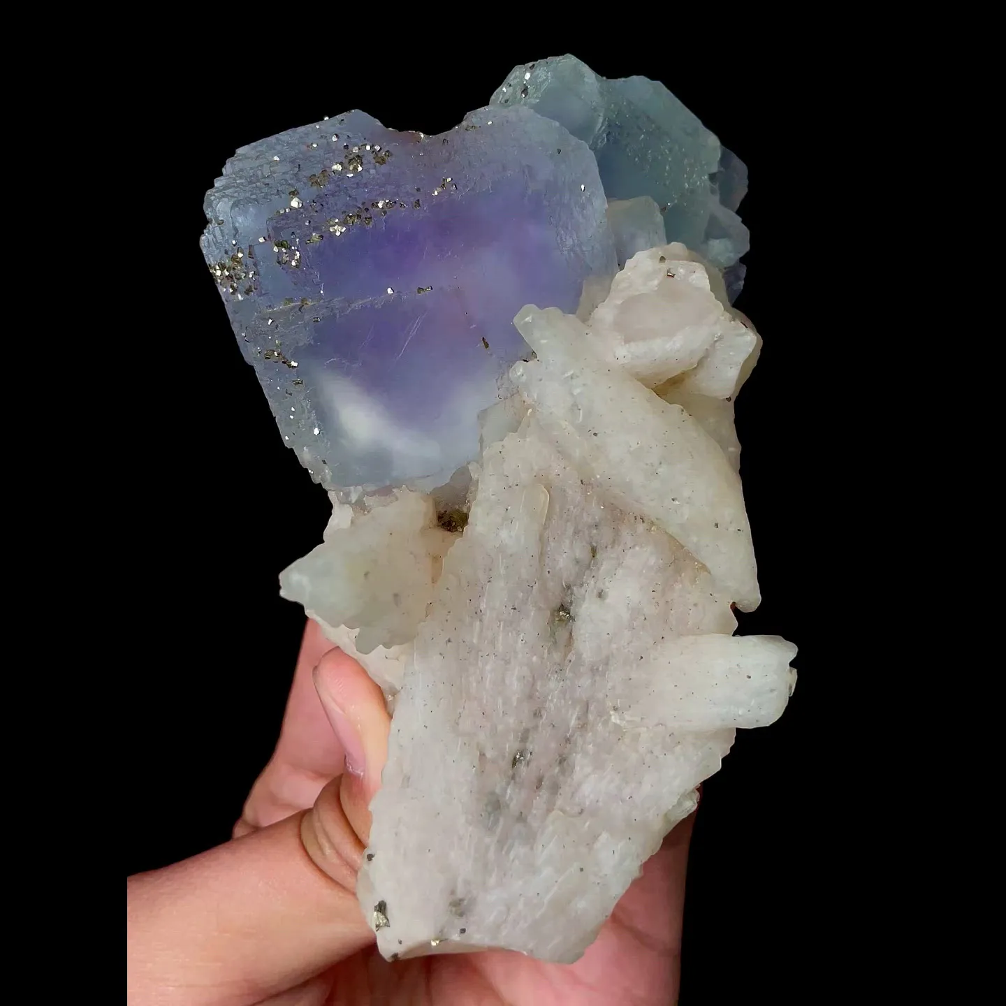 specimen video