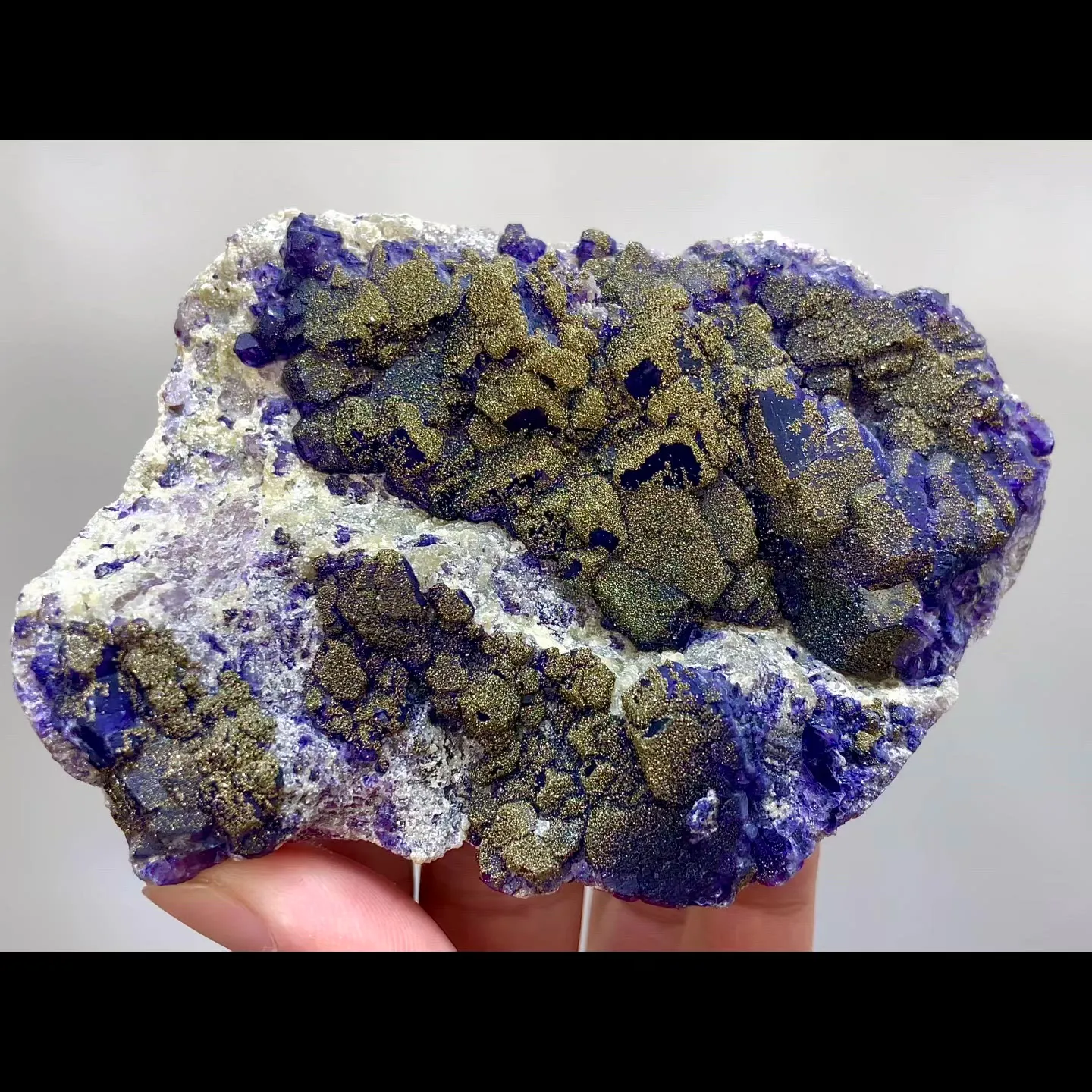 specimen video