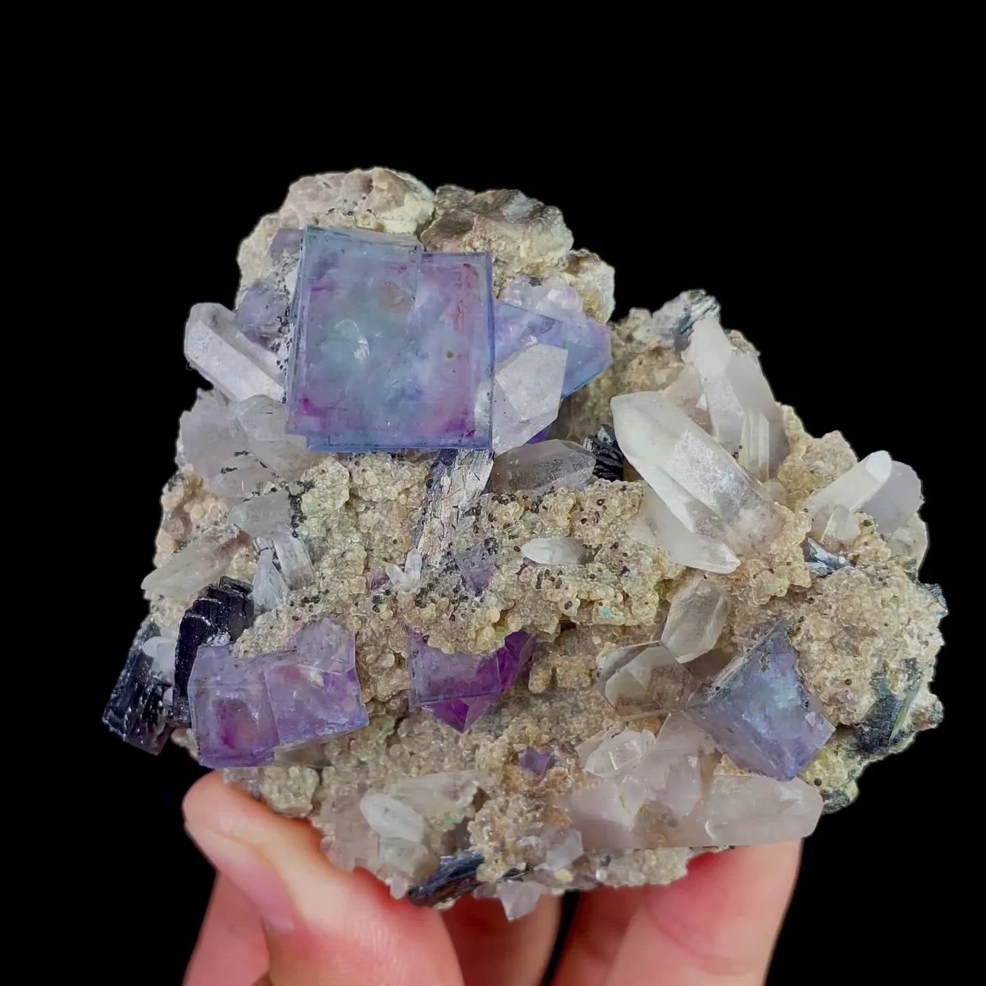 specimen video
