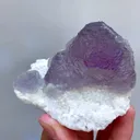specimen video