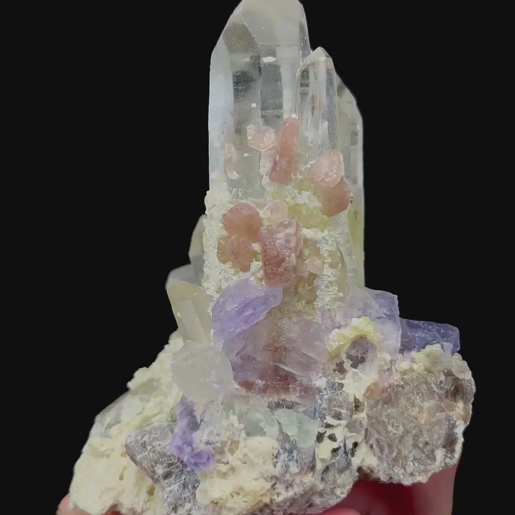 specimen video