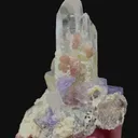 specimen video