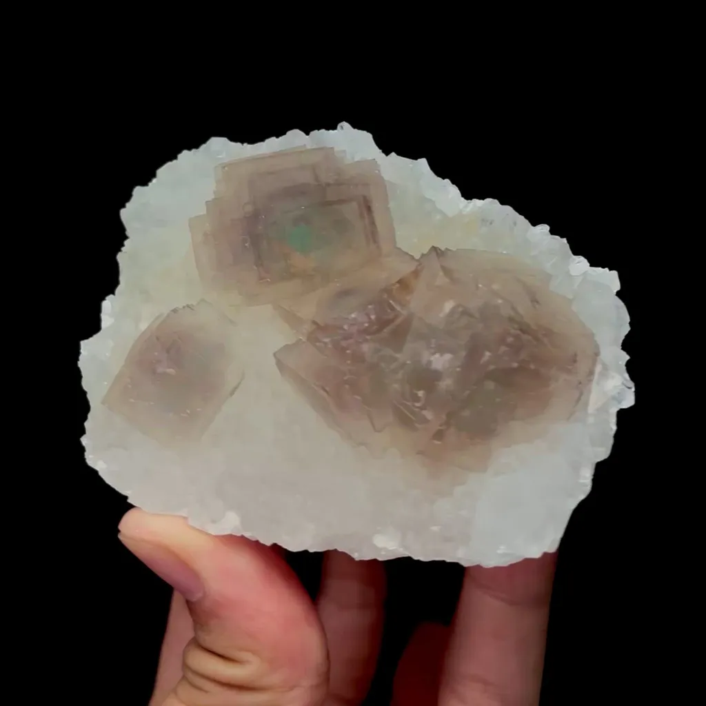 specimen video