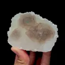 specimen video