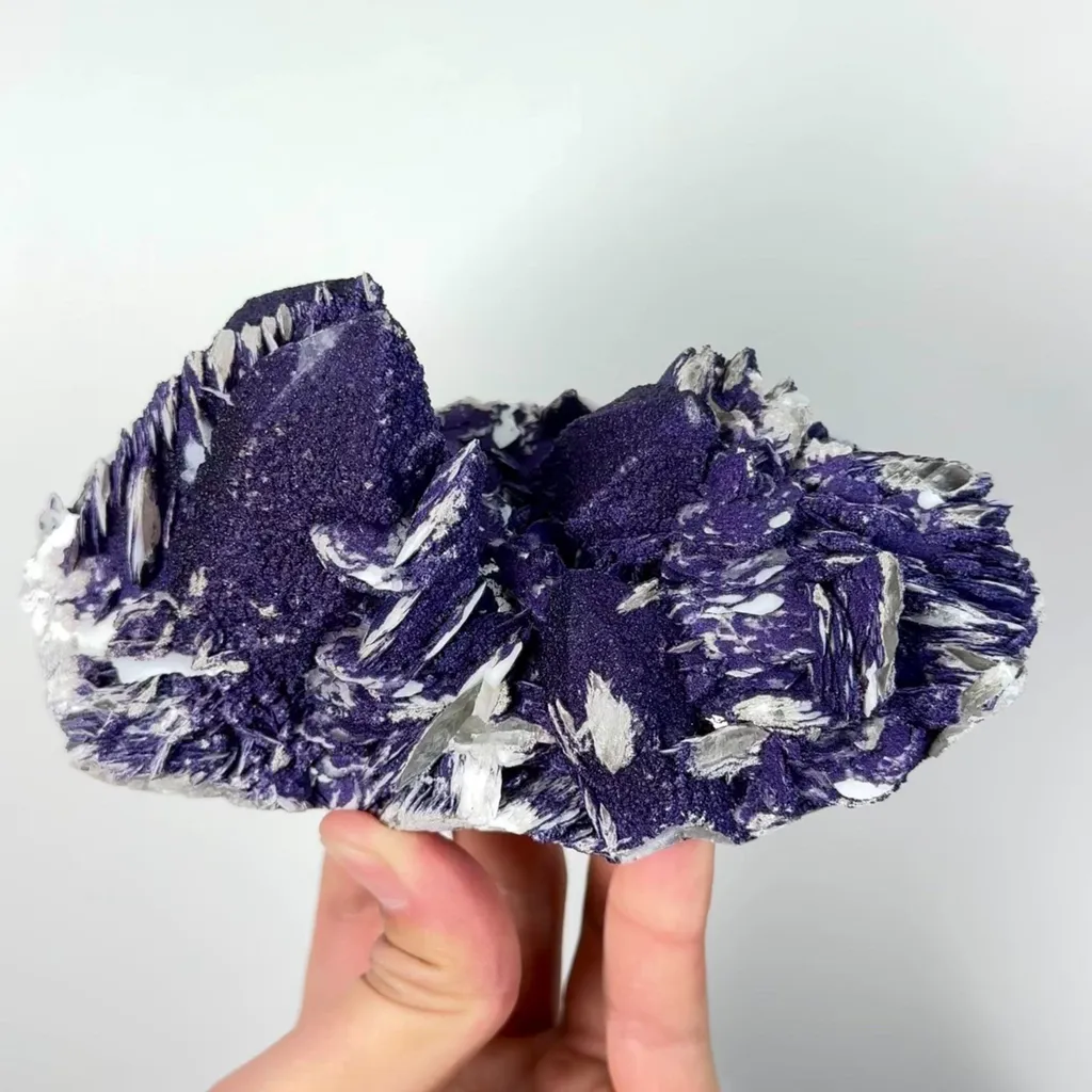 specimen video