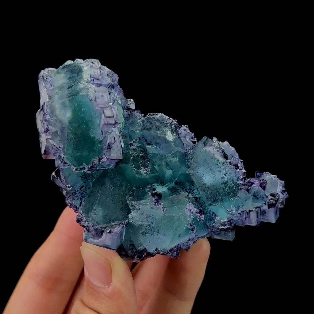 specimen video