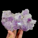 specimen video