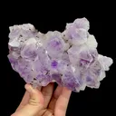 Natural Purple Garden Quartz and Epidote, mineral specimen:Meigu,Sichuan (145*85*40MM) - image 2