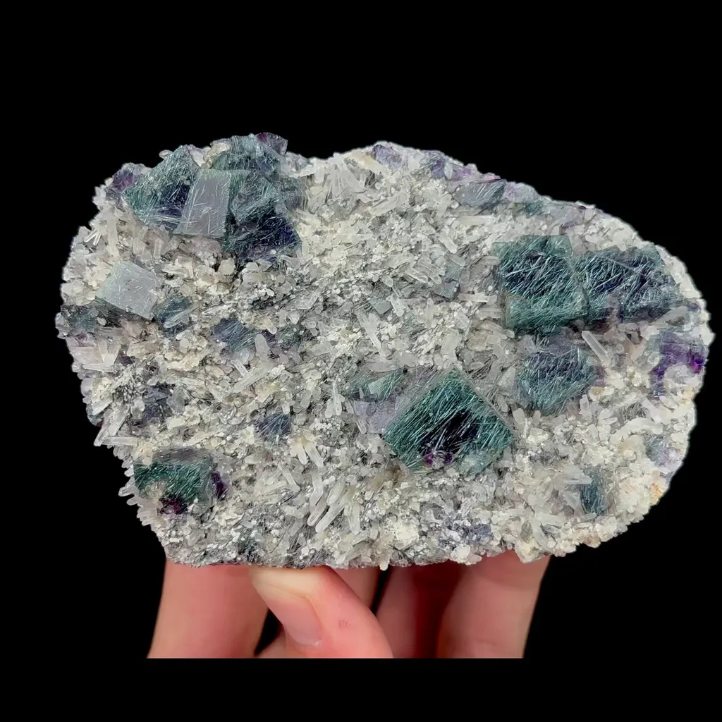 specimen video