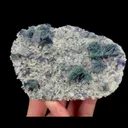 specimen video