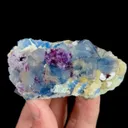 specimen video