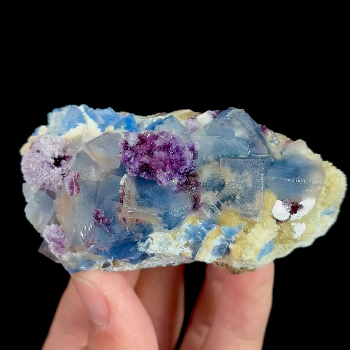 specimen video