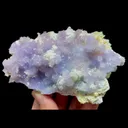 specimen video
