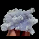specimen video