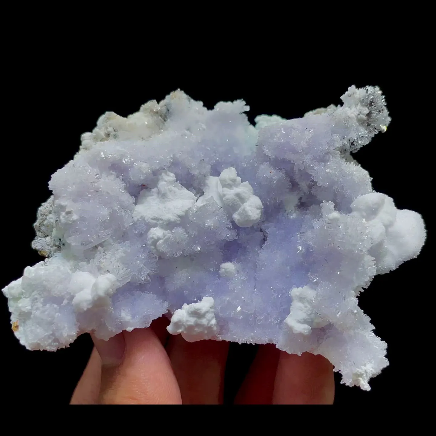 specimen video