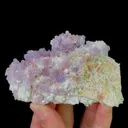 specimen video