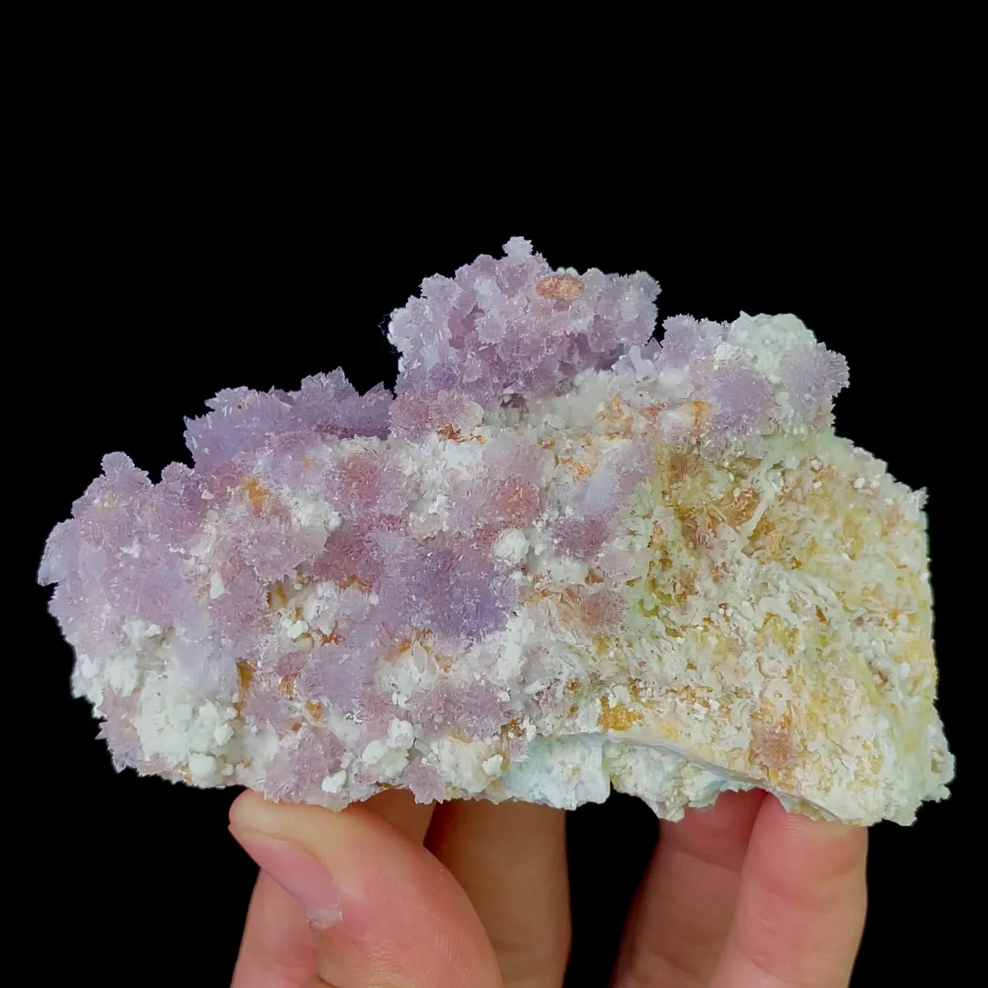 specimen video