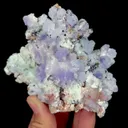 specimen video