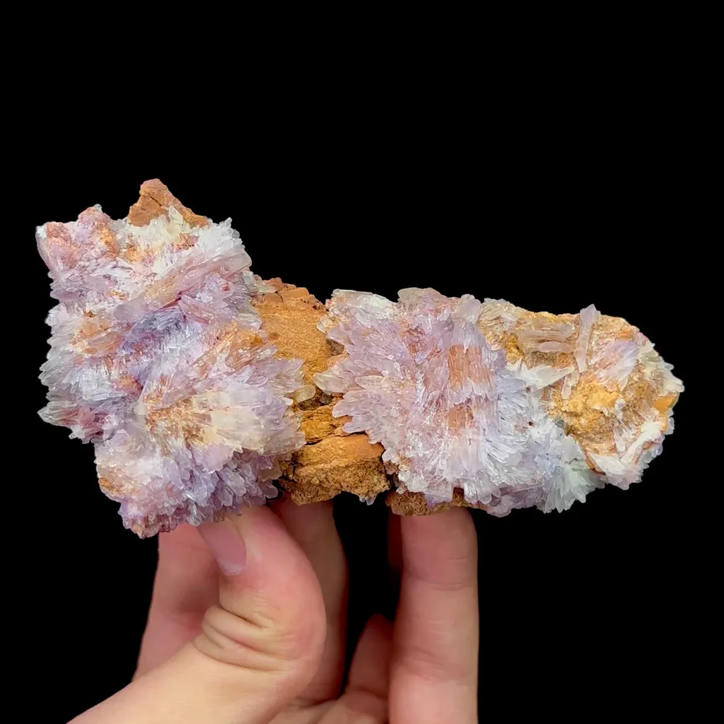 specimen video