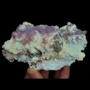 specimen video