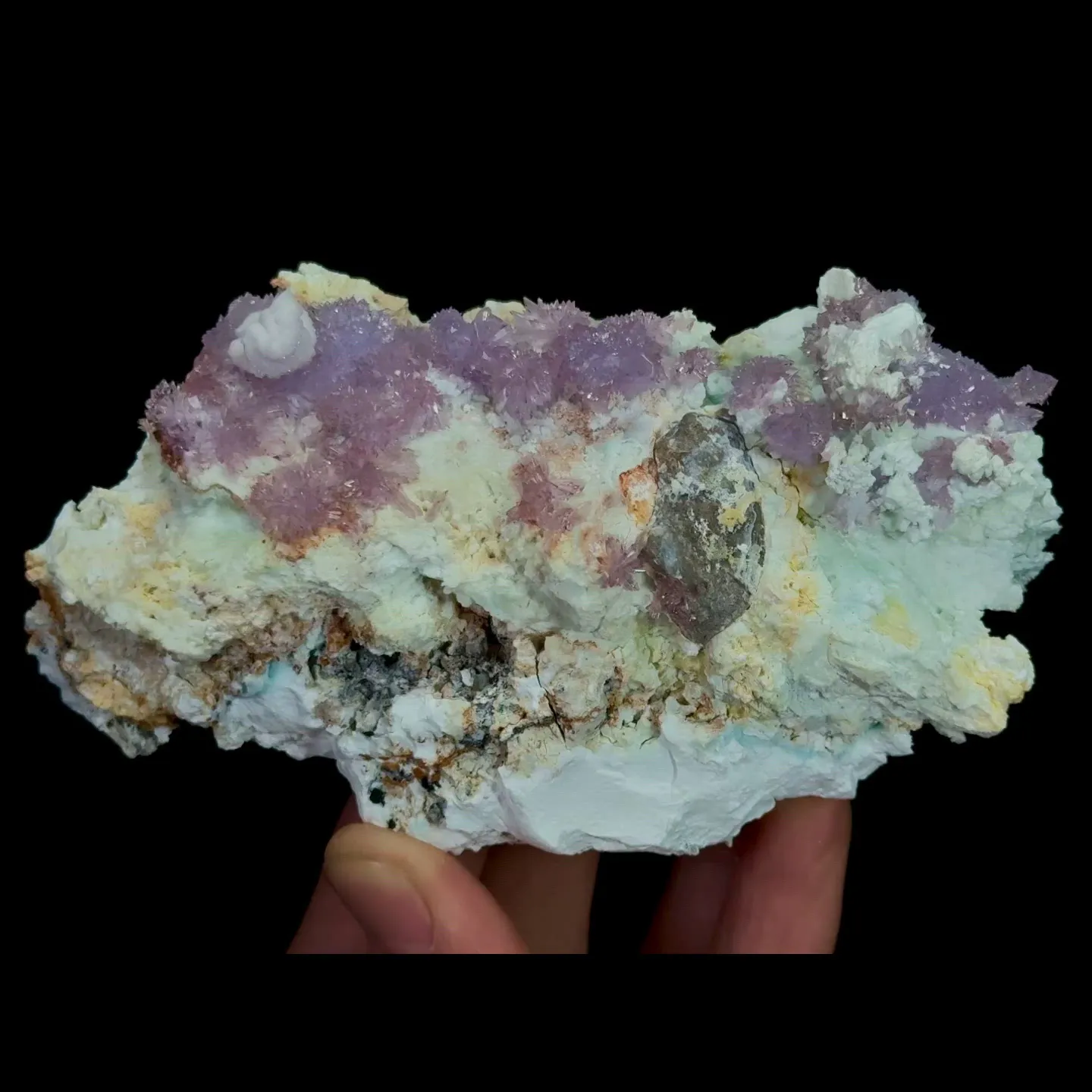 specimen video