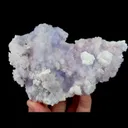 specimen video