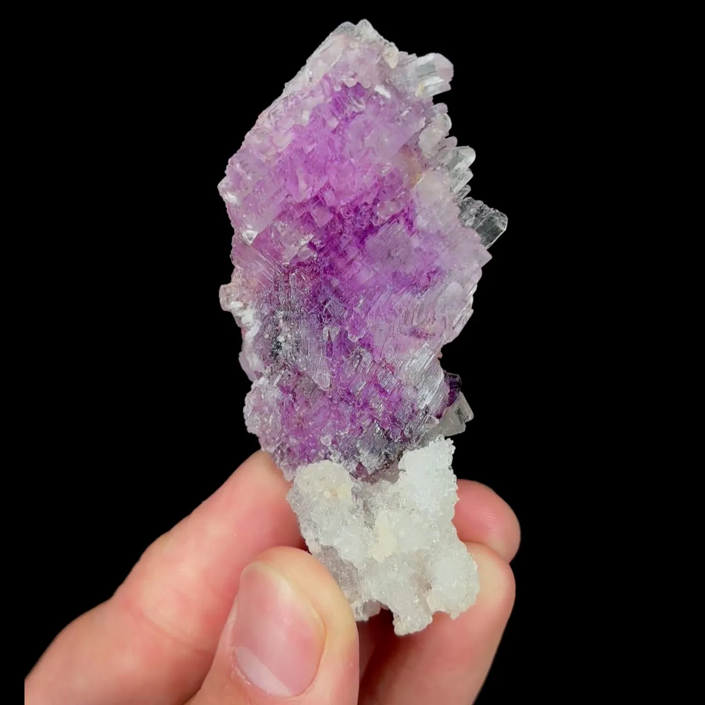 specimen video