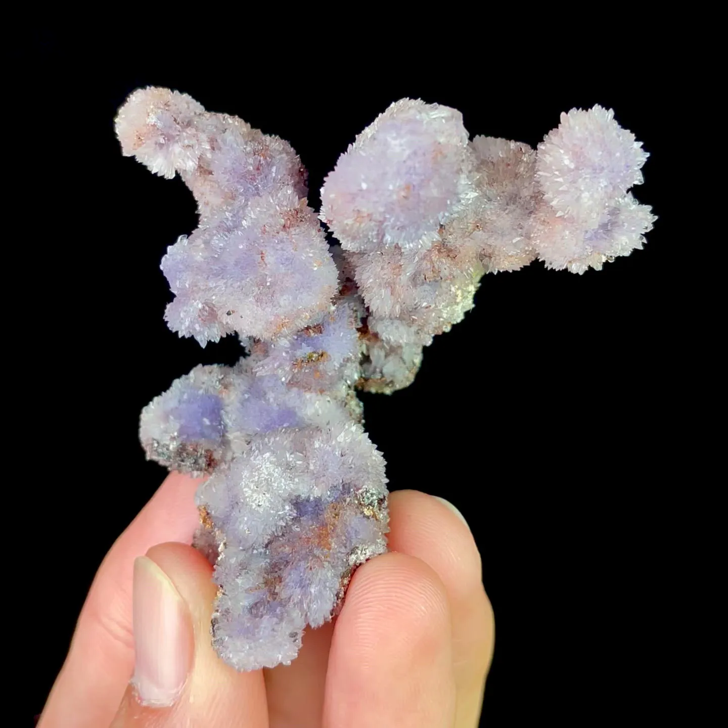 specimen video