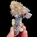 specimen video