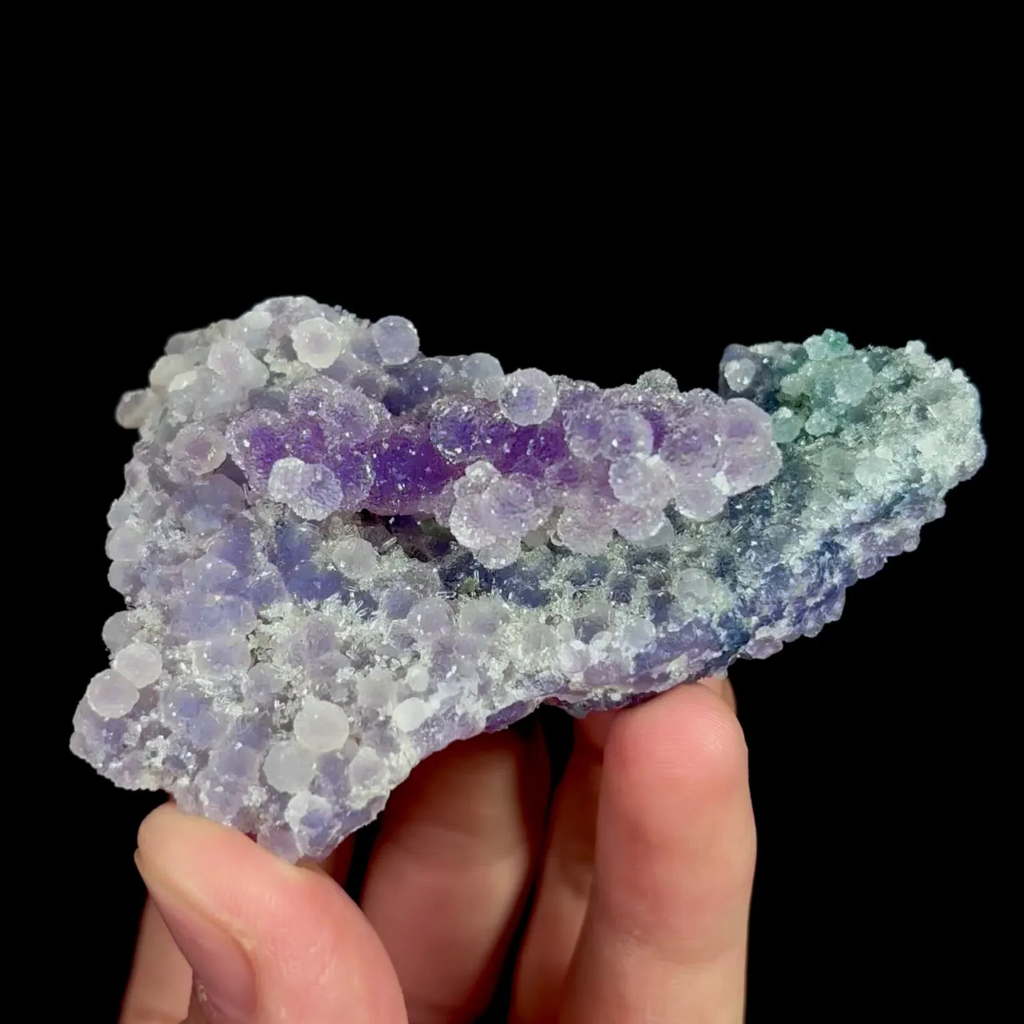 specimen video
