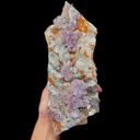 specimen video